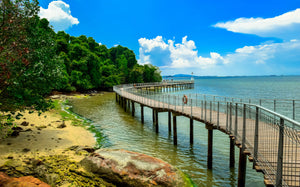 My Unforgettable Kampung Weekend at Pulau Ubin!