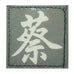 CHINESE SURNAME GLOW IN THE DARK PATCH - CAI 蔡