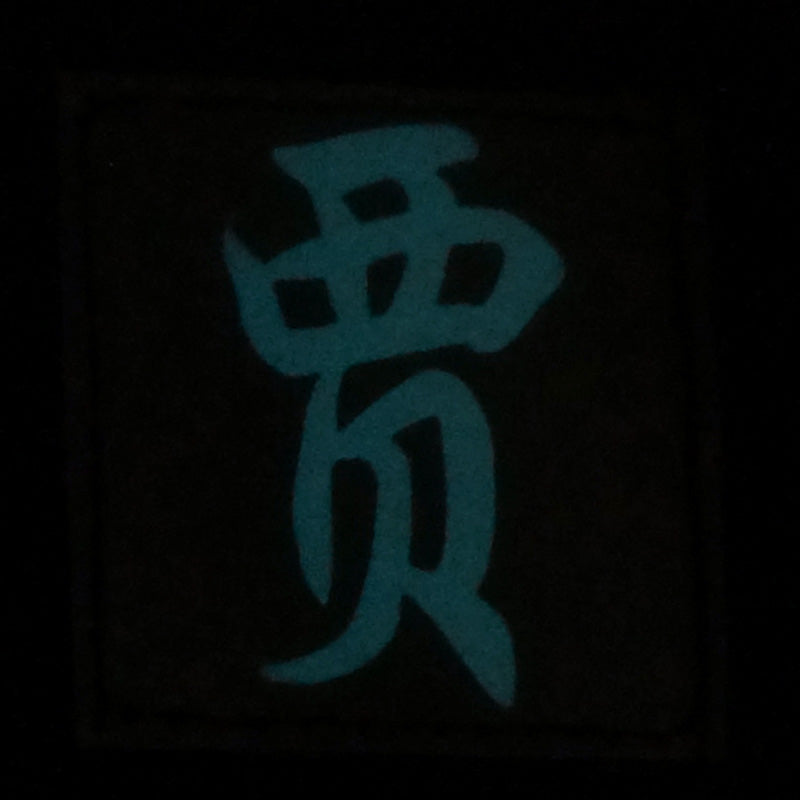 CHINESE SURNAME GLOW IN THE DARK PATCH - JIA 贾