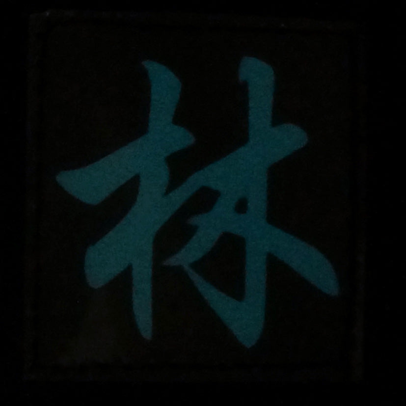 CHINESE SURNAME GLOW IN THE DARK PATCH - LIN 林