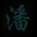 CHINESE SURNAME GLOW IN THE DARK PATCH - PAN 潘