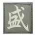 CHINESE SURNAME GLOW IN THE DARK PATCH - SHENG 盛