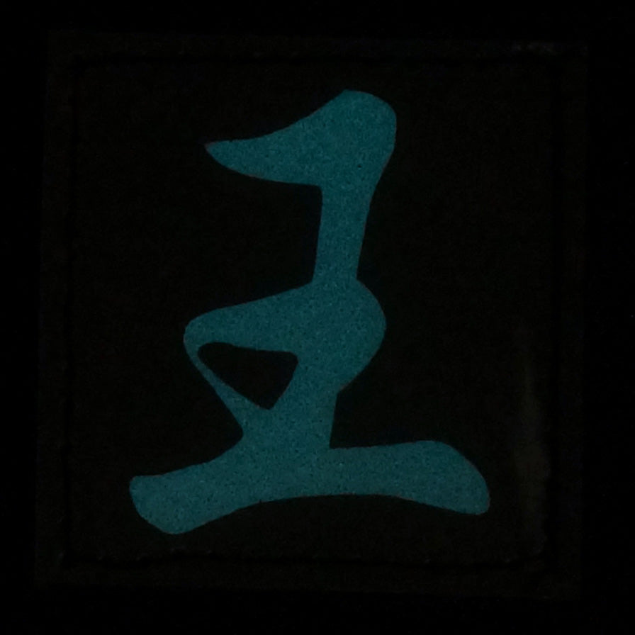 CHINESE SURNAME GLOW IN THE DARK PATCH - WANG 王