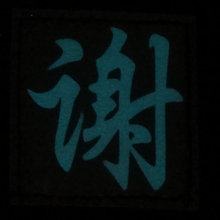 CHINESE SURNAME GLOW IN THE DARK PATCH - XIE 谢