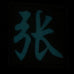 CHINESE SURNAME GLOW IN THE DARK PATCH - ZHANG 张