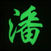 CHINESE SURNAME GLOW IN THE DARK PATCH - PAN 潘