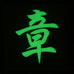CHINESE SURNAME GLOW IN THE DARK PATCH - ZHANG 章
