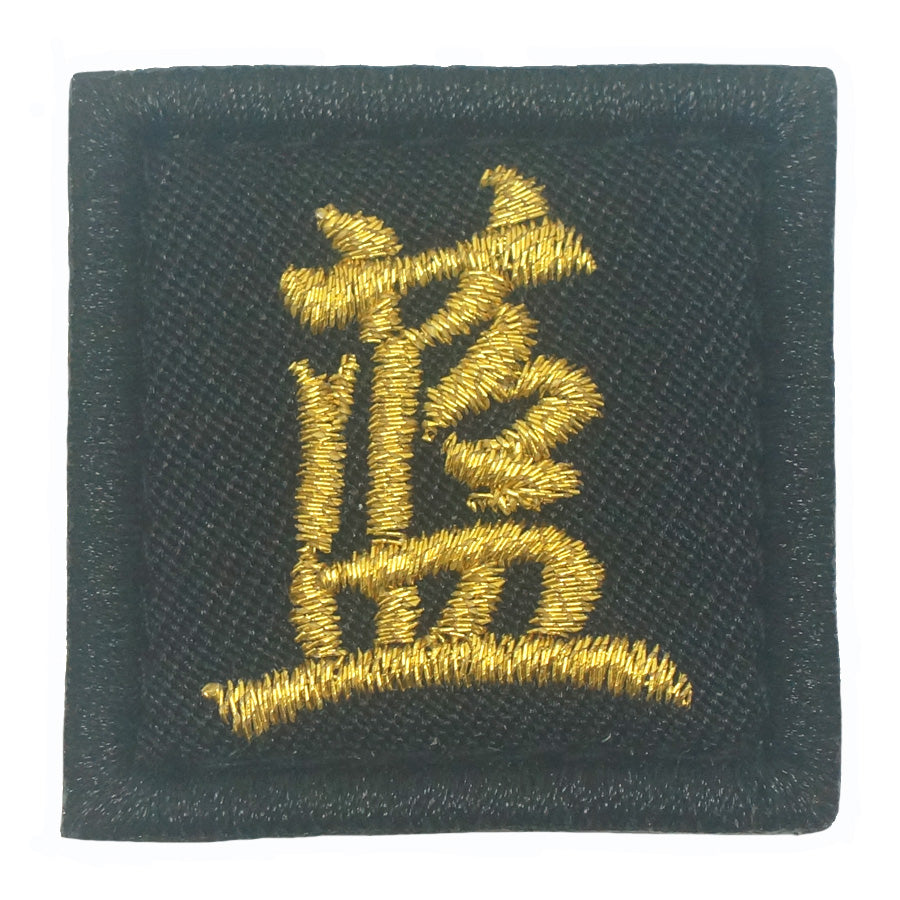 Chinese Surname Lan Patch (篮) Velcro Morale Patch