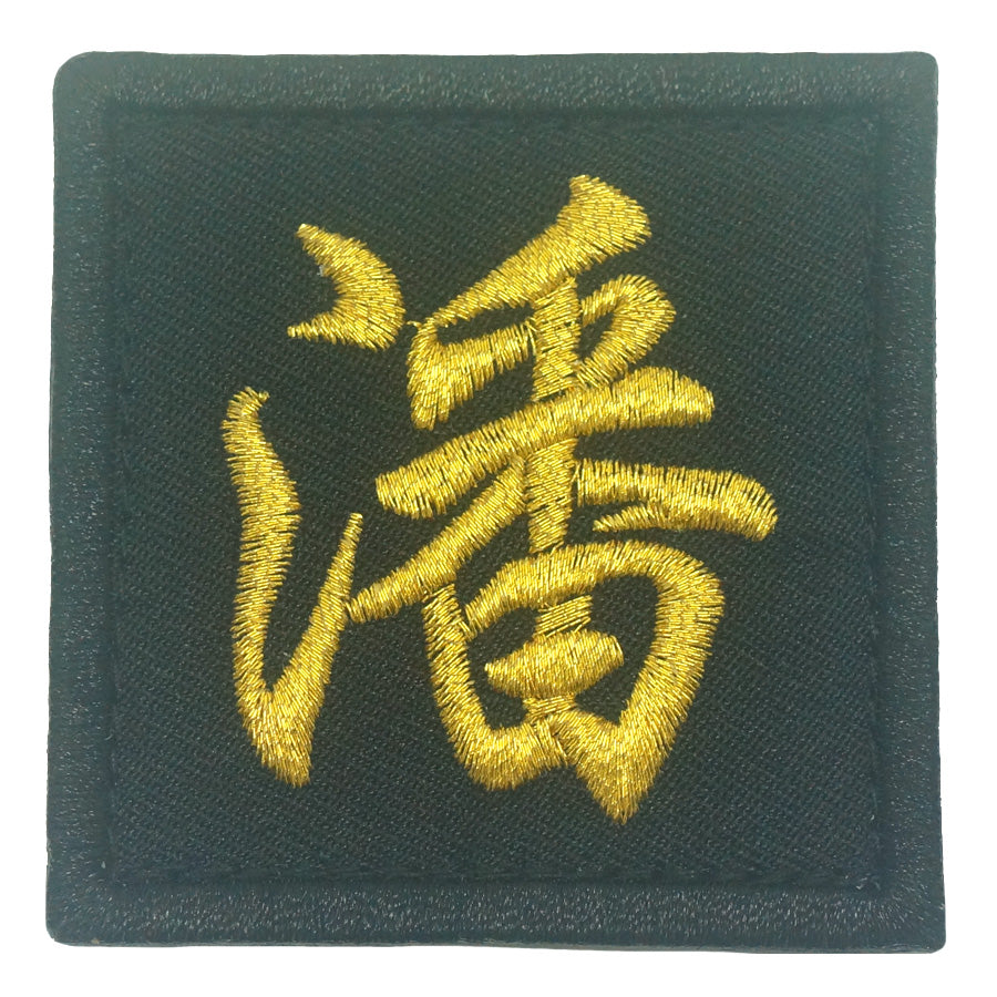 CHINESE SURNAME VELCRO PATCH - PAN 潘