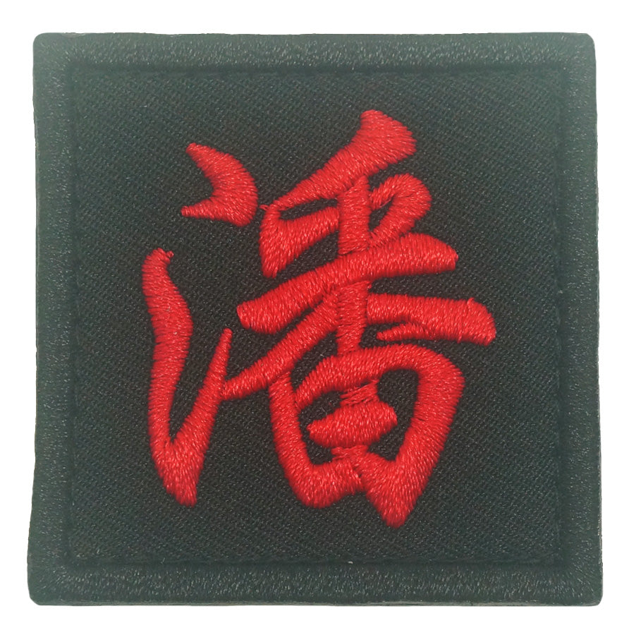 CHINESE SURNAME VELCRO PATCH - PAN 潘