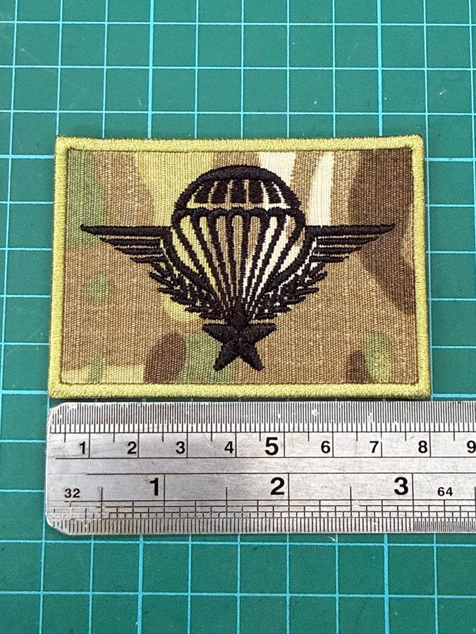 France Parachutist Airborne Jump Wing Embroidery Patch (8 cm x 5.5 cm)