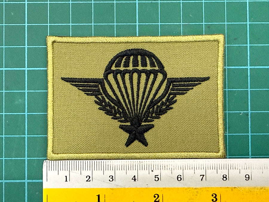 France Parachutist Airborne Jump Wing Embroidery Patch (8 cm x 5.5 cm)