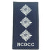 MINI NCDCC RANK PATCH - CAPTAIN (CPT)