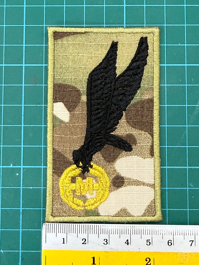 Polish Parachutist Instructor Airborne Jump Wing Badge (9.5 cm x 5.5 cm)