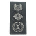 MINI SPF RANK PATCH (BLACK FOLIAGE) - COMMISSIONER OF POLICE (CP)