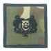 MINI SPF RANK PATCH (MULTICAM) - ASSISTANT SUPERINTENDENT OF POLICE (ASP)
