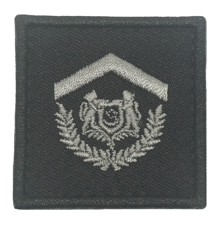 MINI SPF RANK PATCH - BLACK FOLIAGE