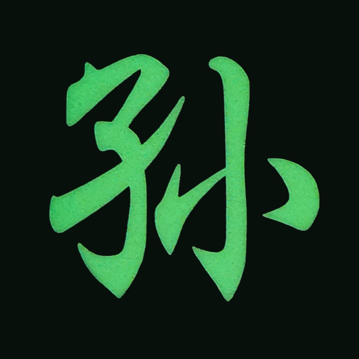 CHINESE SURNAME GLOW IN THE DARK PATCH - SUN 孙
