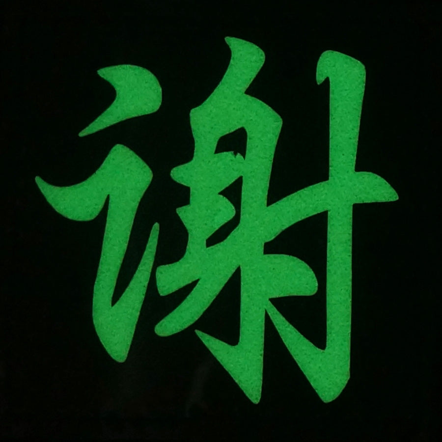 CHINESE SURNAME GLOW IN THE DARK PATCH - XIE 谢