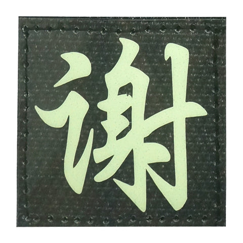 CHINESE SURNAME GLOW IN THE DARK PATCH - XIE 谢