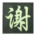 CHINESE SURNAME GLOW IN THE DARK PATCH - XIE 谢