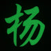 CHINESE SURNAME GLOW IN THE DARK PATCH - YANG 杨