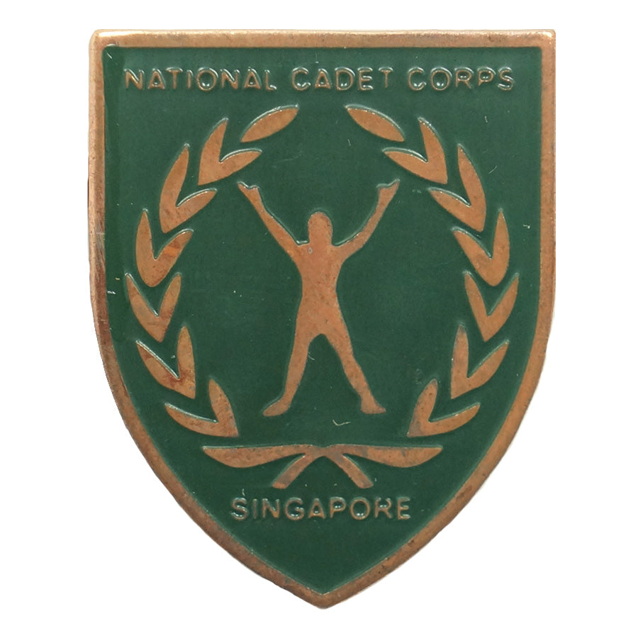 NCC NAPFA BADGE (BRONZE)