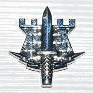 SAF #3 COLLAR PIN - COMBAT ENGINEER – Hock Gift Shop | Army Online ...